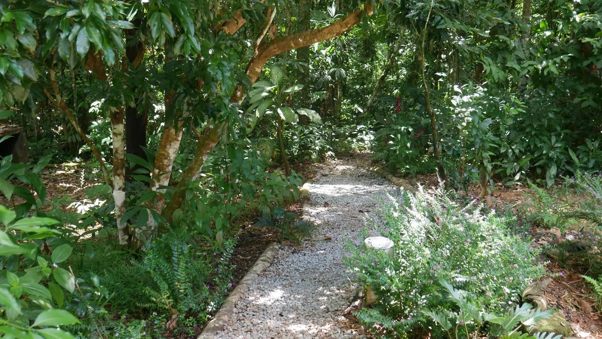 Fairy Falls - Romantic Daintree Rainforest Retreat With Enchanting Waterfall Cow Bay 0*,