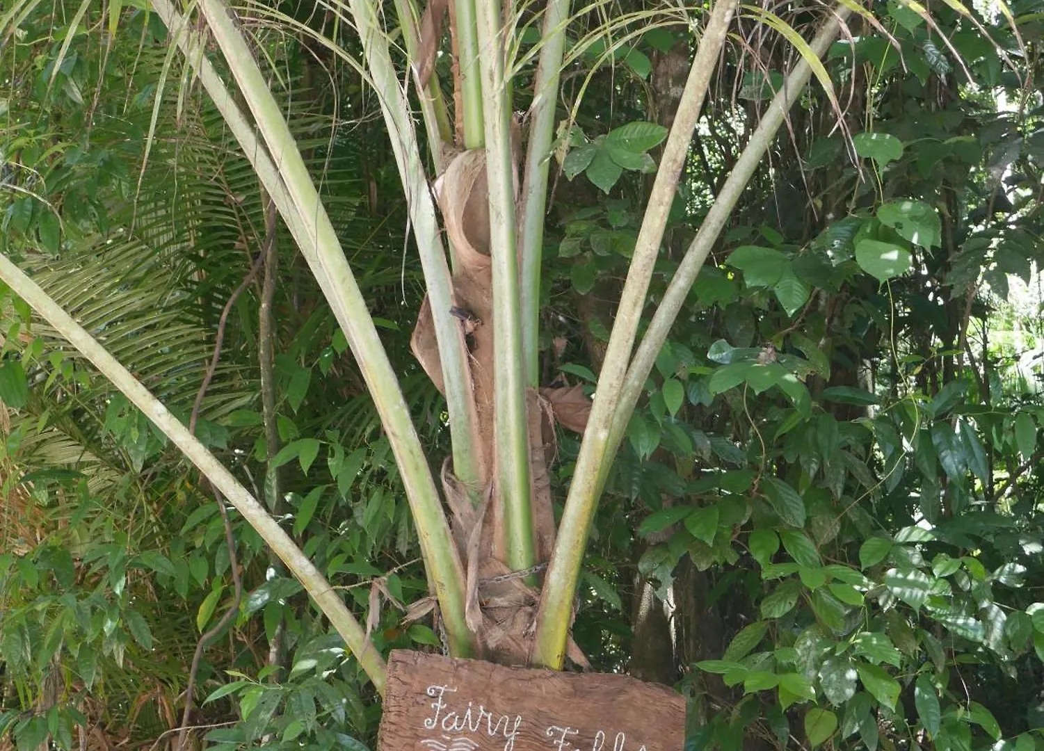 Fairy Falls - Romantic Daintree Rainforest Retreat With Enchanting Waterfall Cow Bay