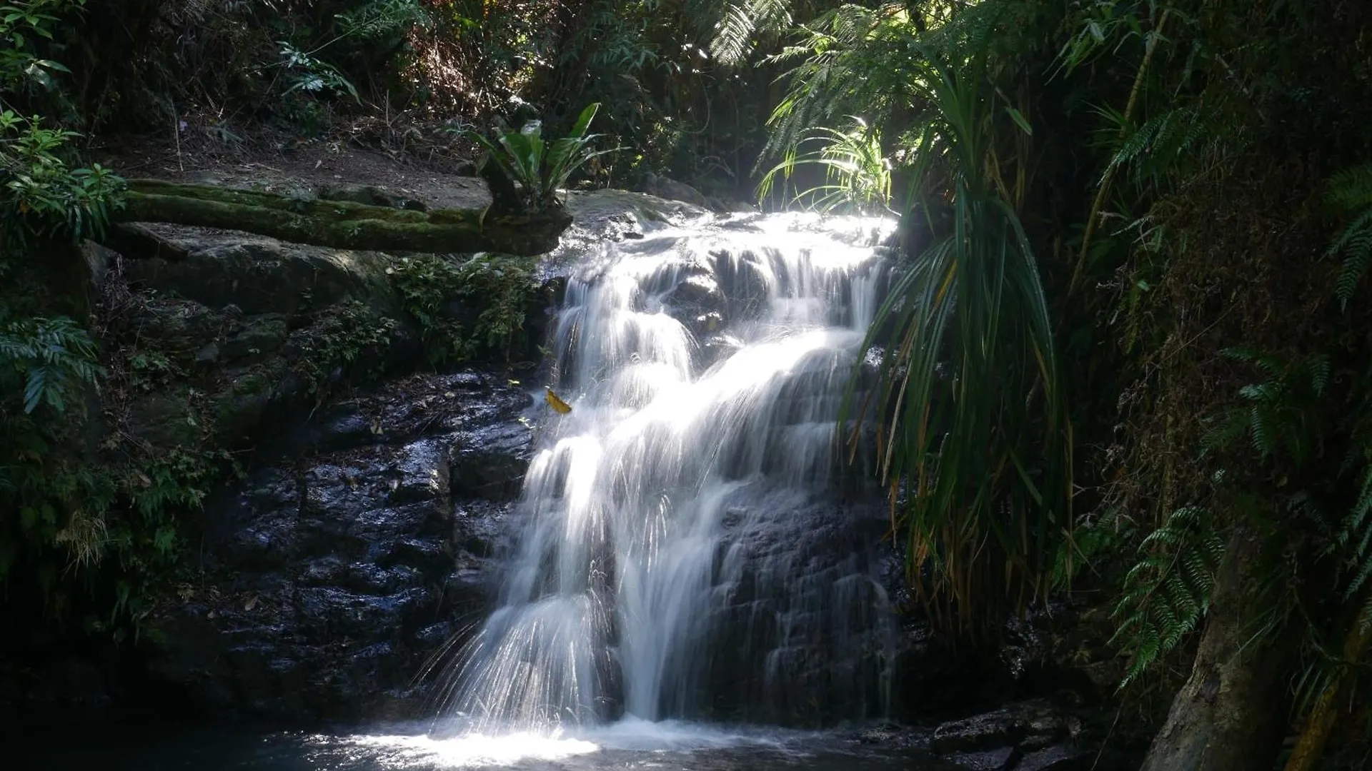 Fairy Falls - Romantic Daintree Rainforest Retreat With Enchanting Waterfall Cow Bay Casa vacanze